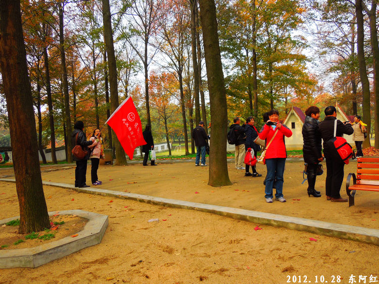 dscn9493.jpg