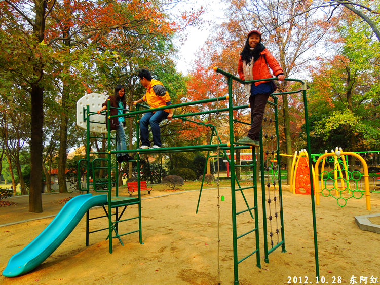 dscn9510.jpg
