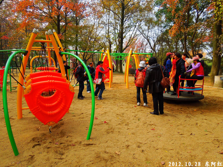 dscn9518.jpg