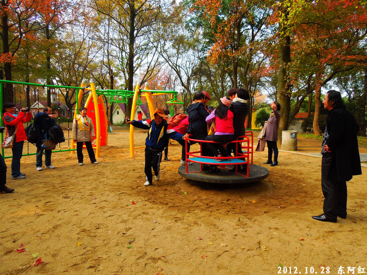 dscn9520.jpg