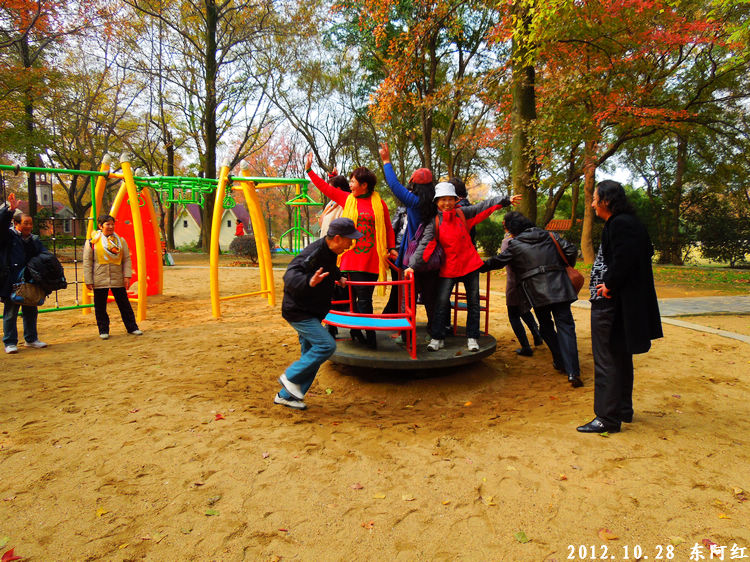 dscn9519.jpg