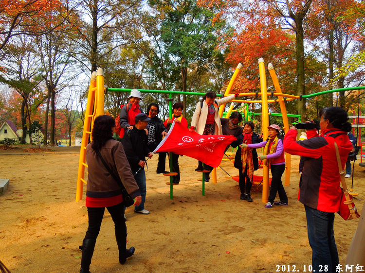 dscn9528.jpg