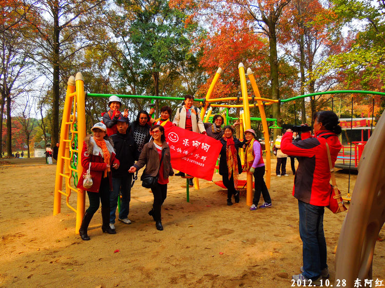 dscn9529.jpg
