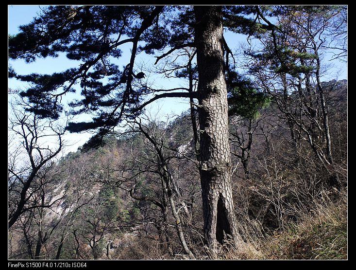 dscf2982.jpg