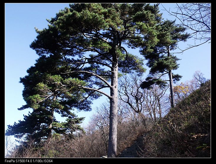 dscf2980.jpg
