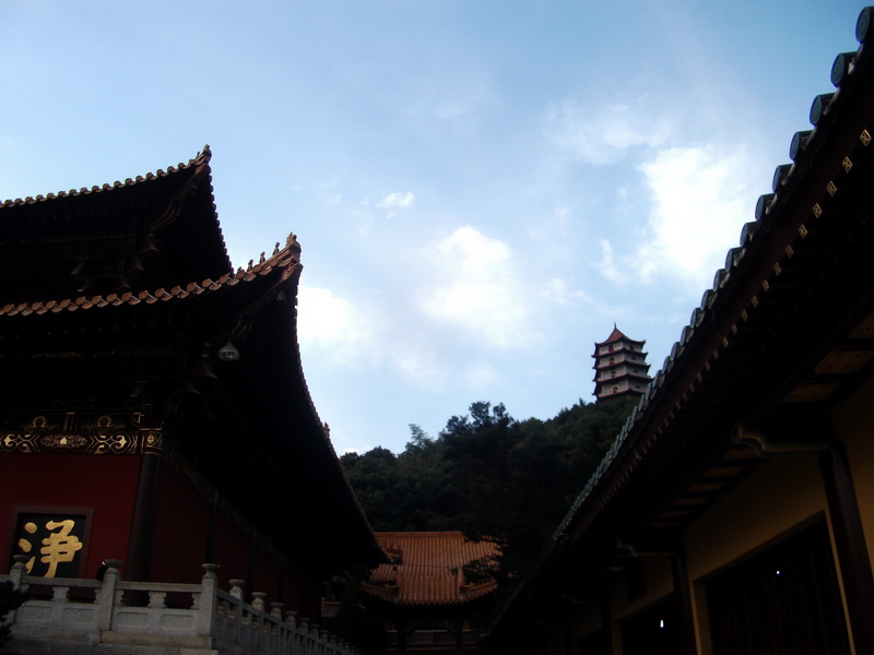 dscf0113.jpg