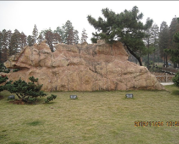 20.jpg
