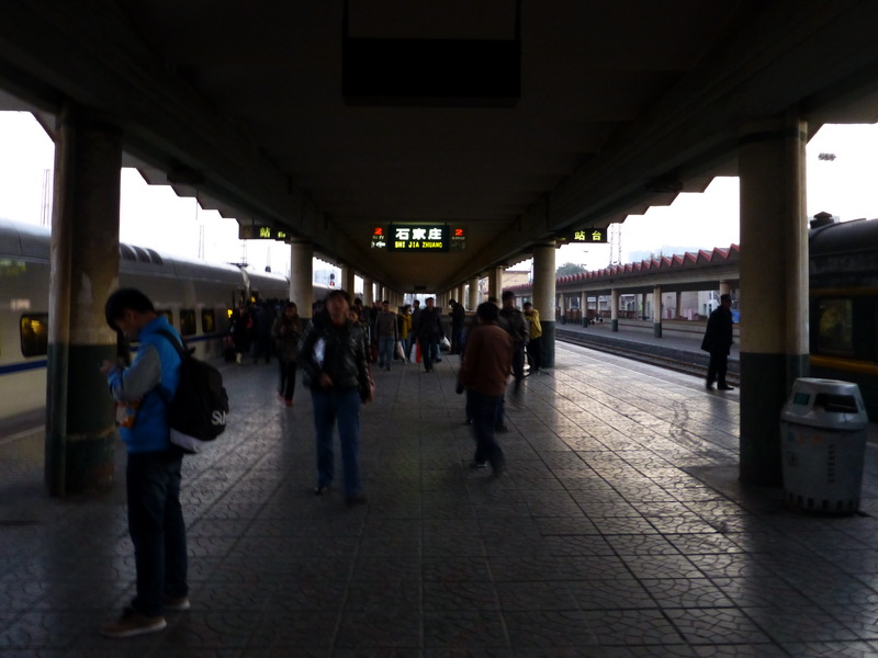 p1000013.jpg