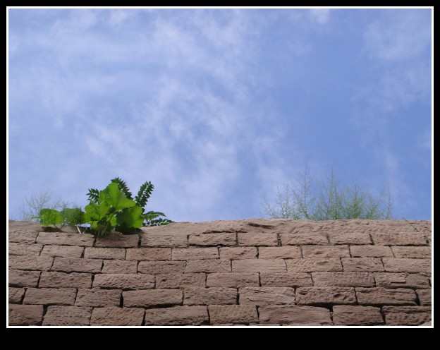 dsc07712_conew1.jpg