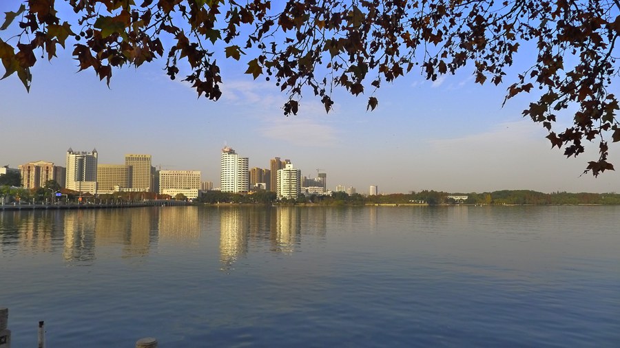 p1040145_.jpg