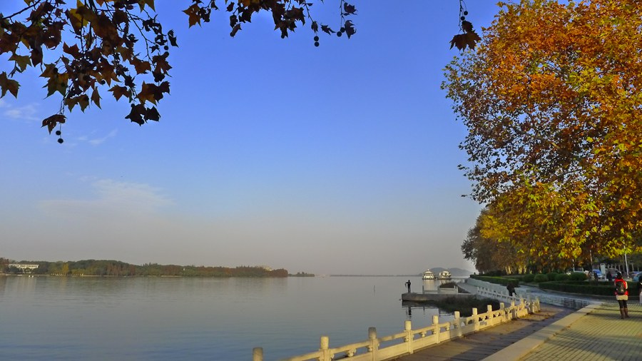 p1040153_.jpg