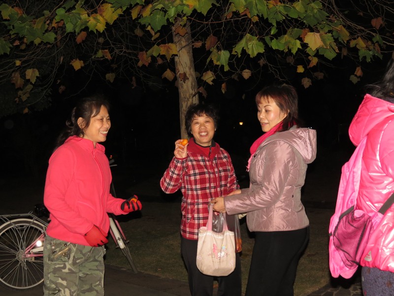 img_1210a.jpg
