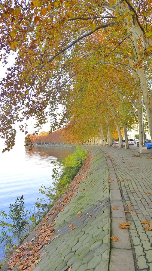 p1040202_.jpg