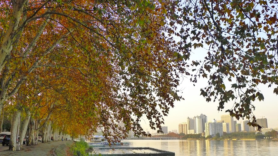 p1040213_.jpg