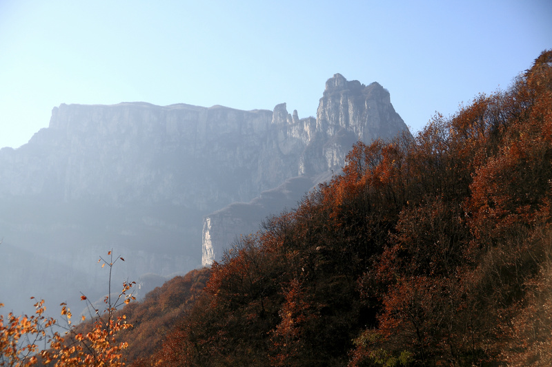 img_8356.jpg