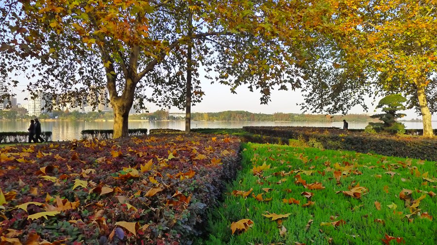 p1040165_.jpg