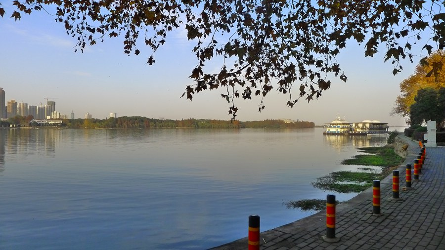 p1040174_.jpg