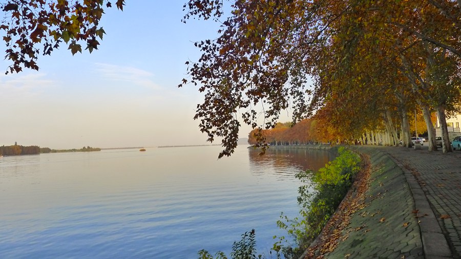 p1040201_.jpg