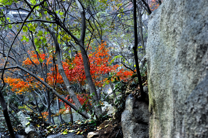 _dsc6016.jpg