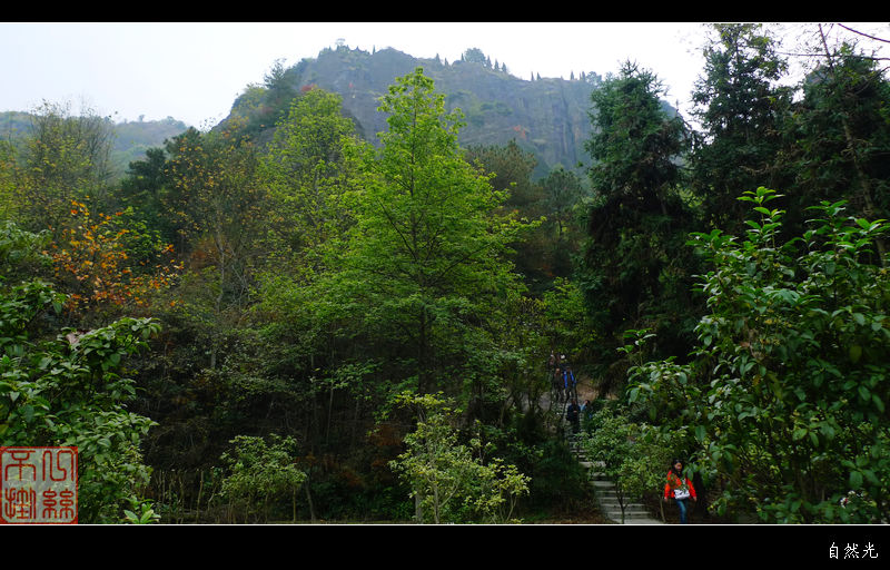 l1390777.jpg