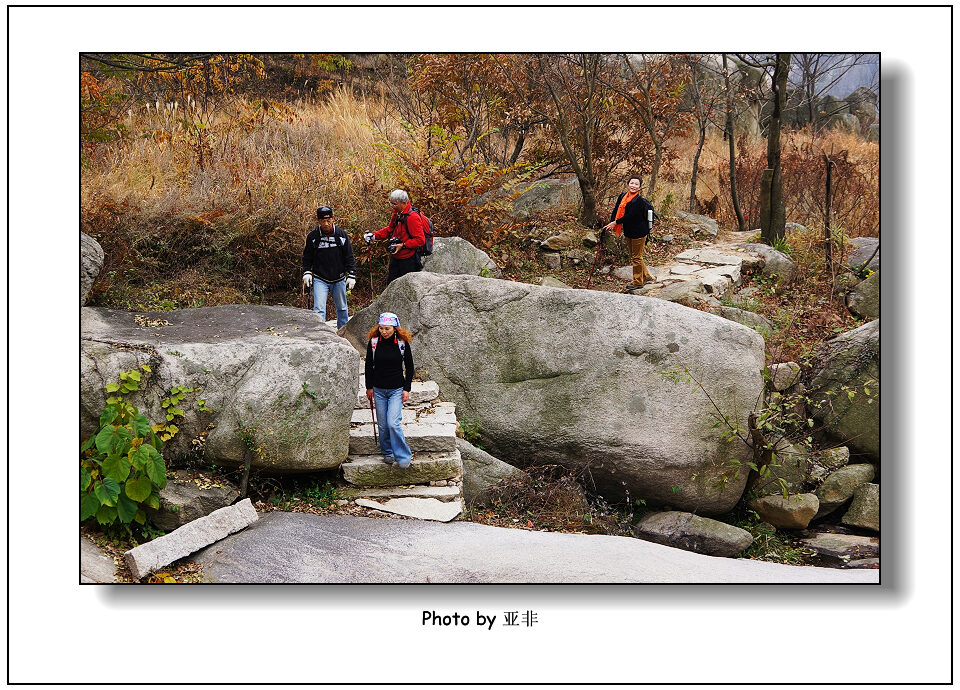 dsc02281a.jpg