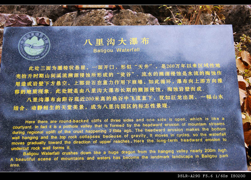 dsc06540.jpg