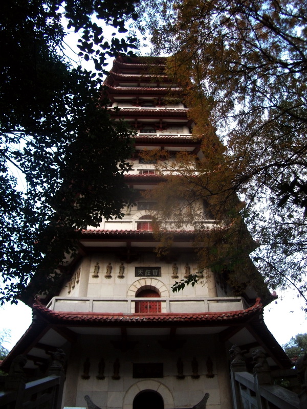 dscf0124.jpg