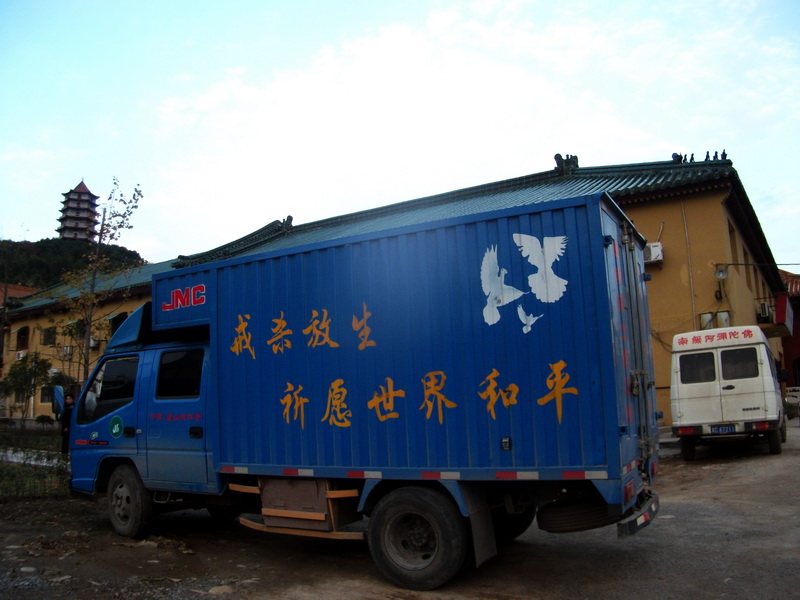 dscf0135.jpg