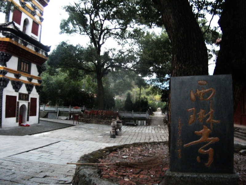 dscf0140.jpg