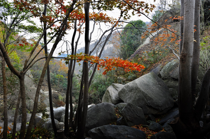 _dsc6026.jpg