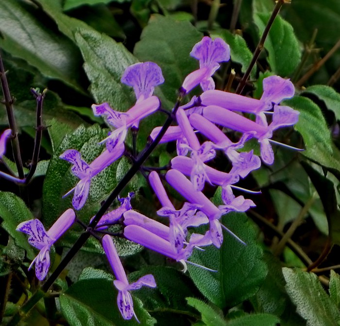 p1040041_.jpg