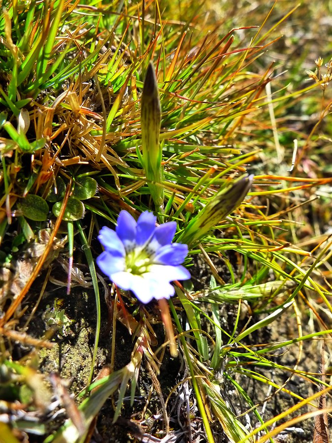 p1020845_.jpg
