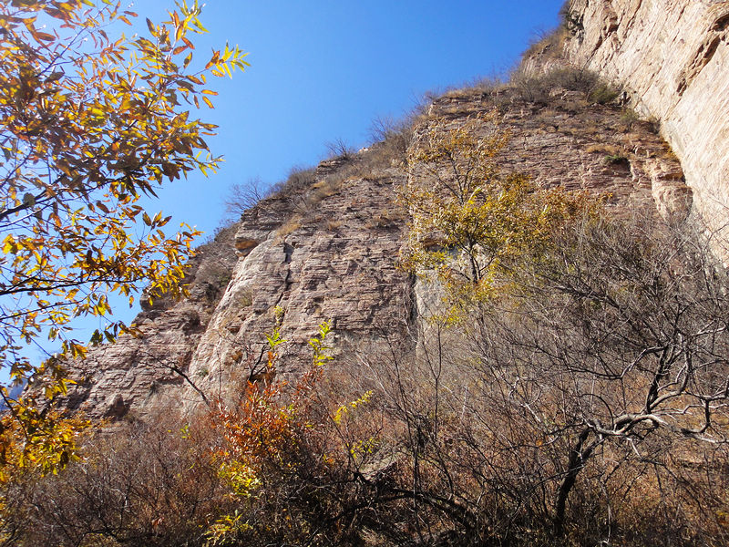 dsc08094.jpg