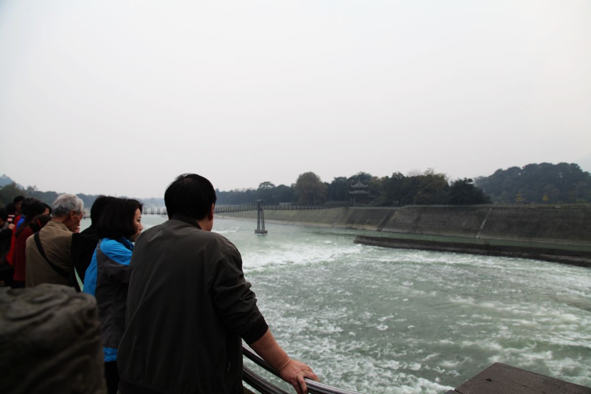 neo_img_img_0264.jpg