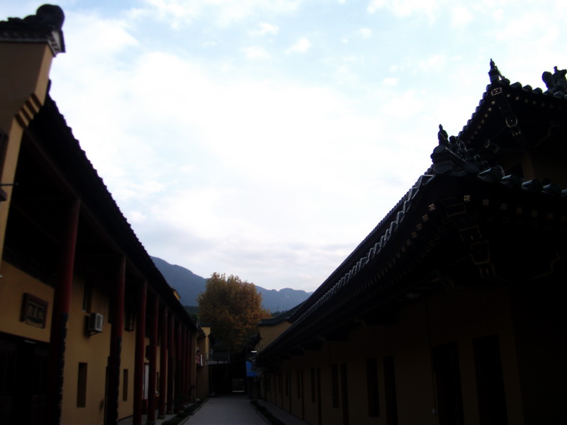 dscf0116.jpg