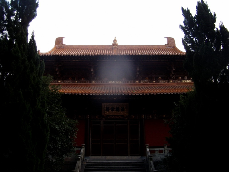 dscf0117.jpg