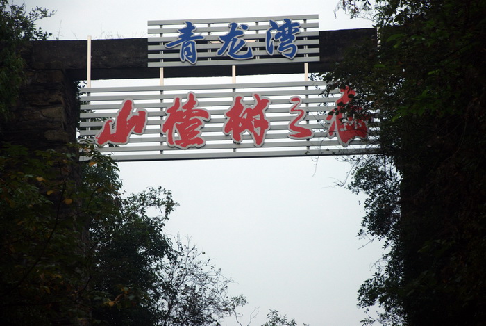 dsc_0569.jpg