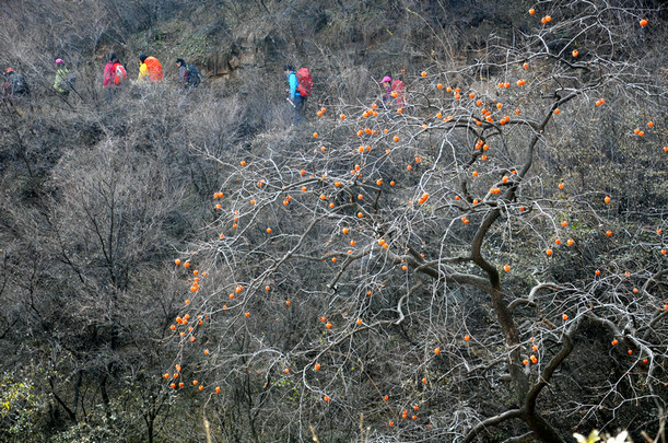 dsc_0289.jpg