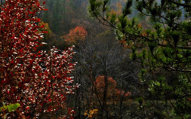 _dsc5920.jpg
