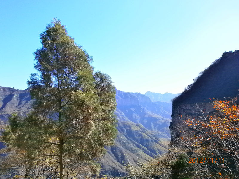 pb110303_.jpg