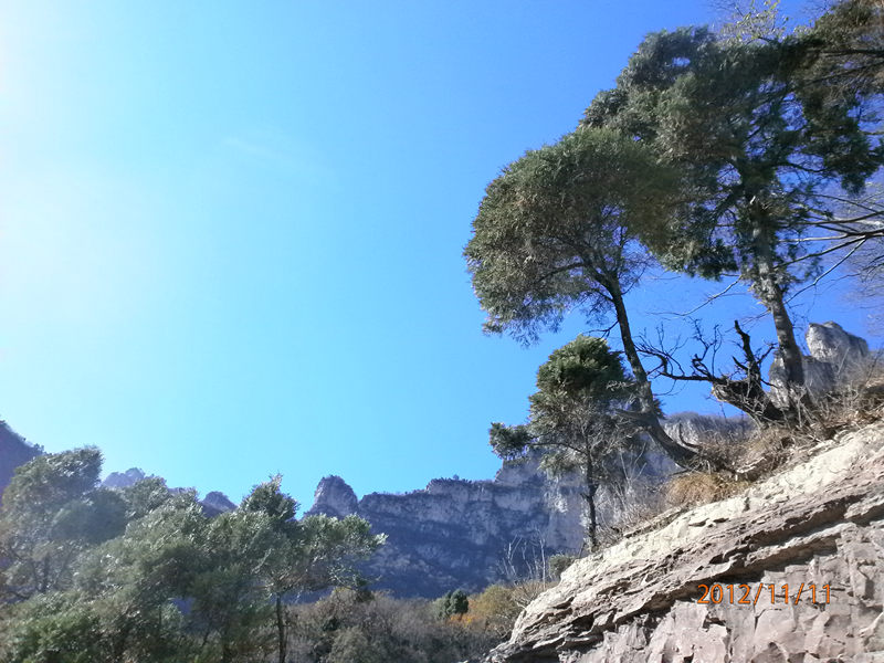 pb110305_.jpg