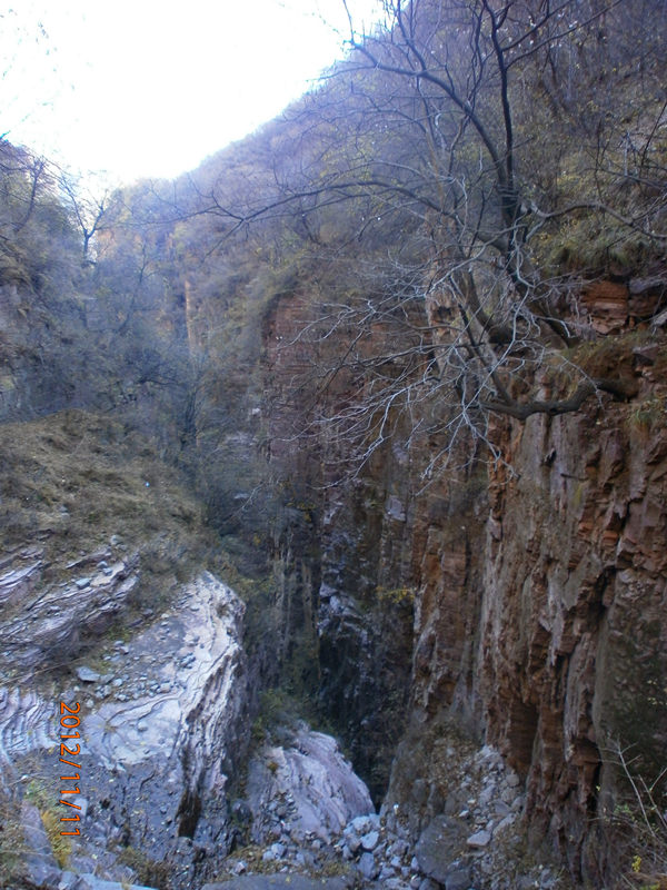 pb110308_.jpg