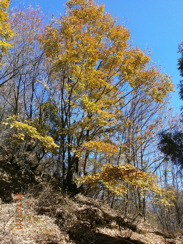 pb110317_.jpg