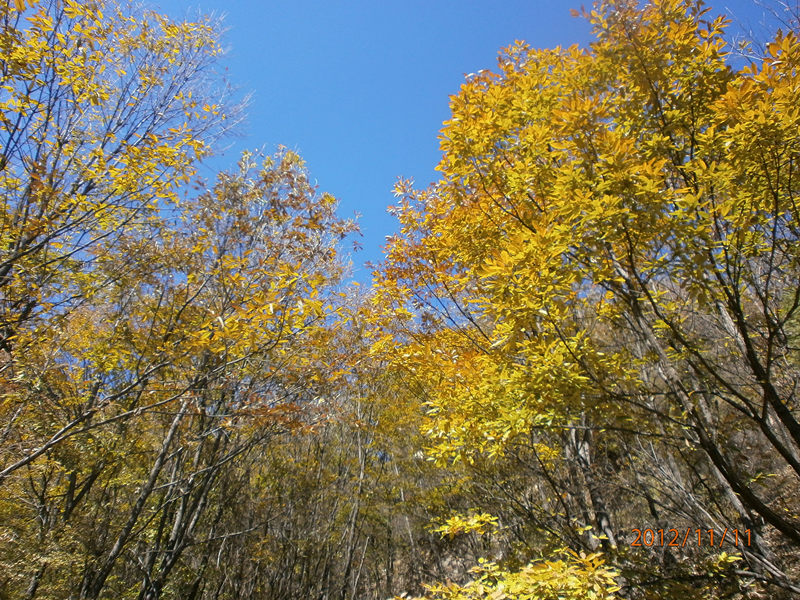 pb110318_.jpg