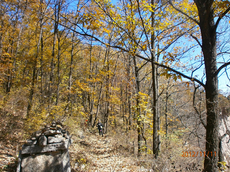 pb110323_.jpg
