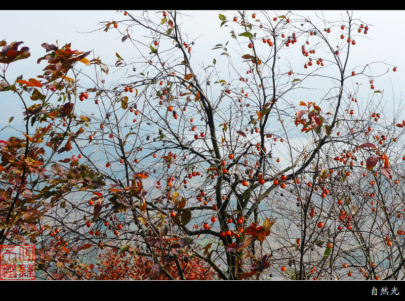 201211267401294393.jpg