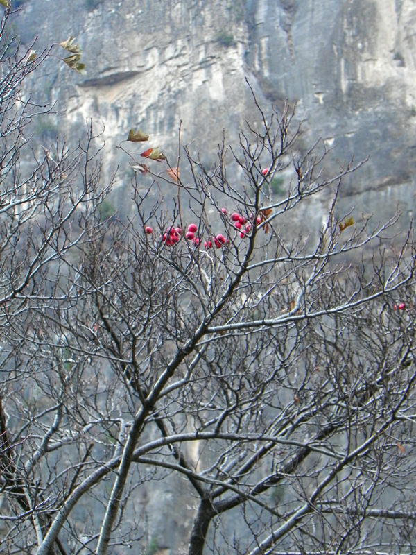dscn2582_.jpg
