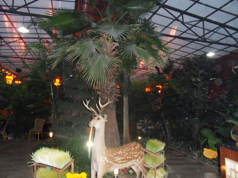sdc17793.jpg