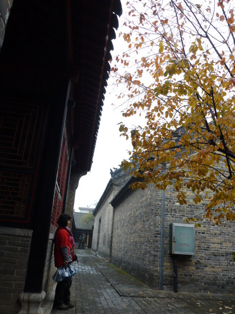 p1130385_.jpg
