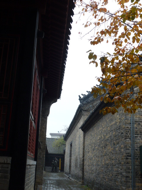 p1130392_.jpg